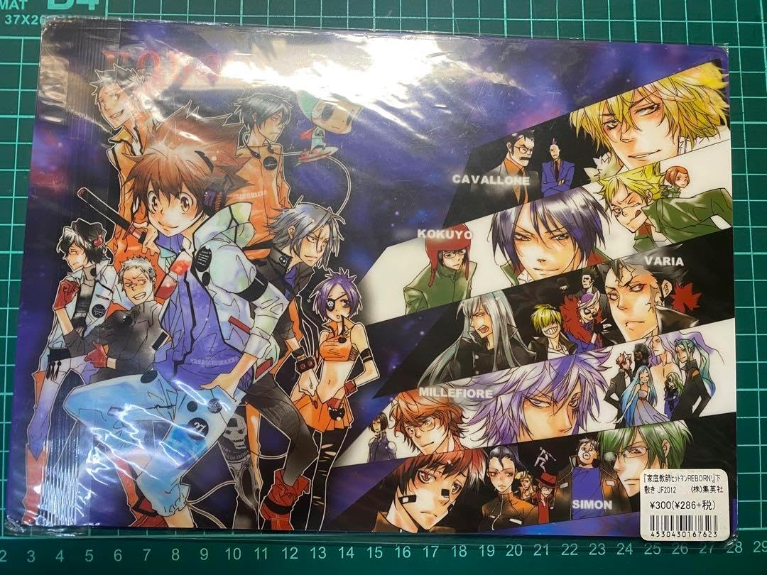 家庭教師ヒットマンREBORN リボーン 下敷き 家庭教師ヒットマン